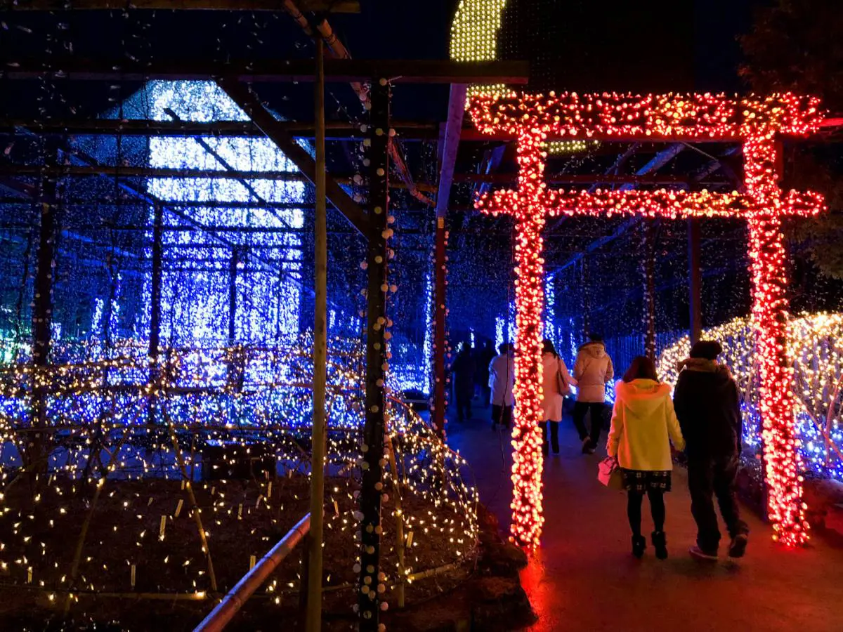 島根県松江市の大根島にある由志園のイルミネーションがなかなか凄かった こりゃインスタ映えだ Ariill Design